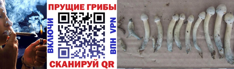 Псилоцибиновые грибы ЛСД Кондрово
