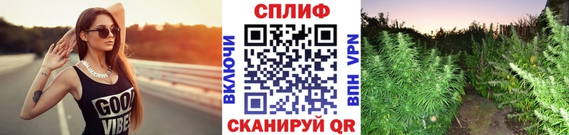 где продают наркотики  Кондрово  Бошки марихуана THC 21% 
